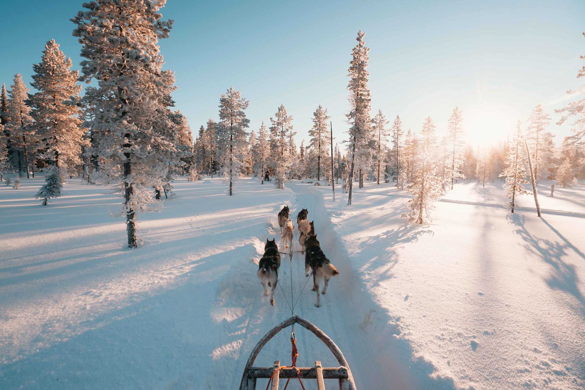 organiser un voyage en finlande